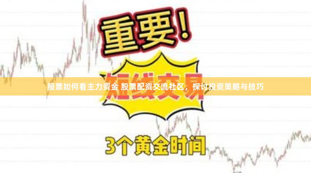 股票如何看主力资金 股票配资交流社区，探讨投资策略与技巧
