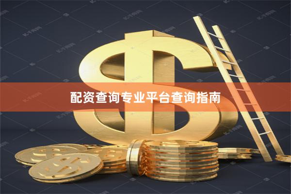 配资查询专业平台查询指南