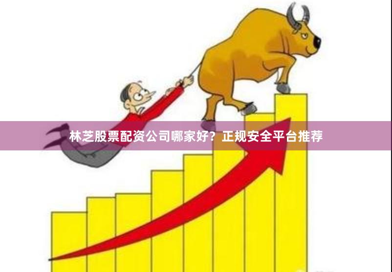 林芝股票配资公司哪家好?正规安全平台推荐