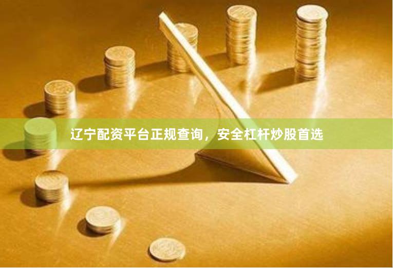 辽宁配资平台正规查询，安全杠杆炒股首选